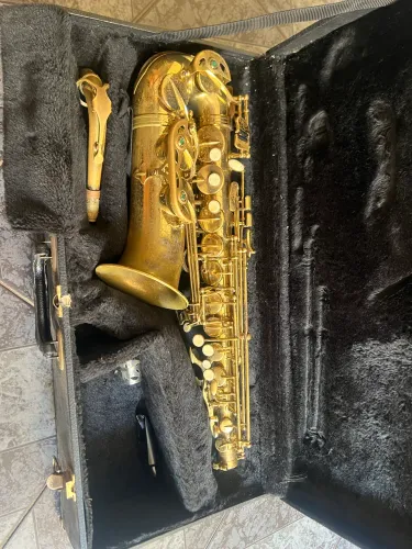Sax alto Eagle s501