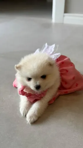 Lulu
