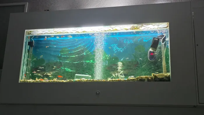 Aquario de parede