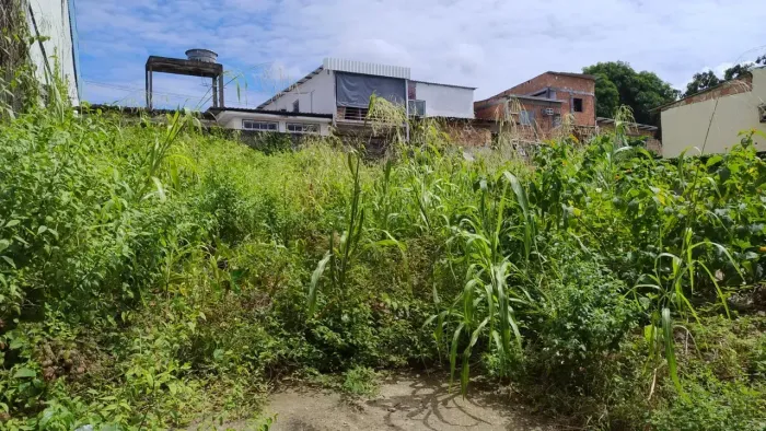 Imóvel para venda possui 250 metros quadrados em Vila da Prata - Manaus - AM