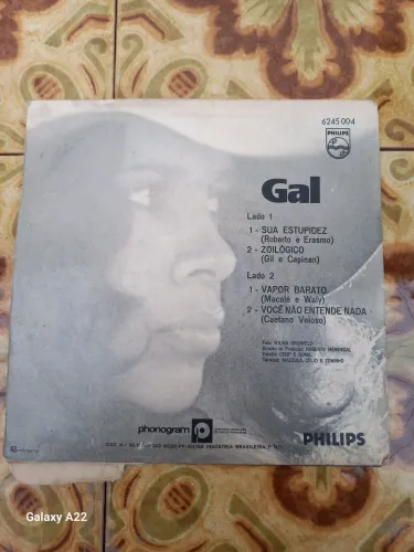 Discos vinil antigos