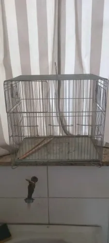 Gaiolas