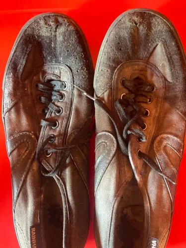 Vendo Futsal Rainha no precinho.