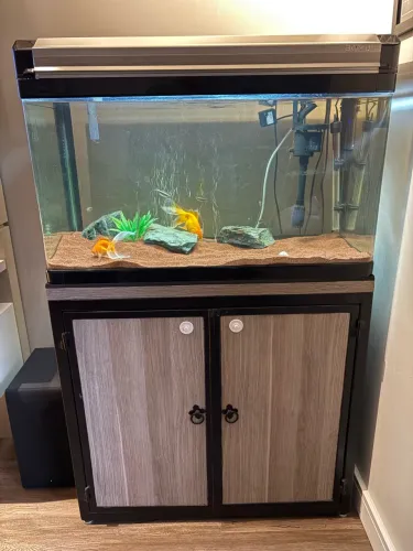 Aquario boyu 80x40