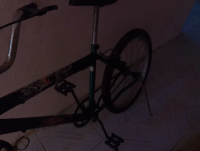Vendesse bicicleta, aró 24.