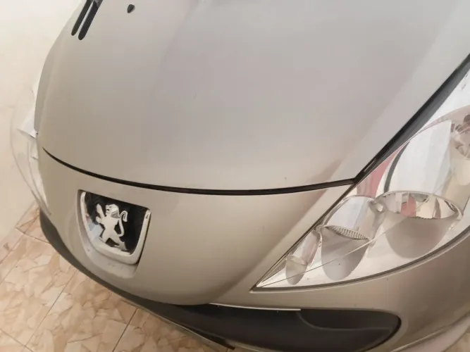 Peugeot 207 XR Sport 1.4 Flex 8V 5P 2011