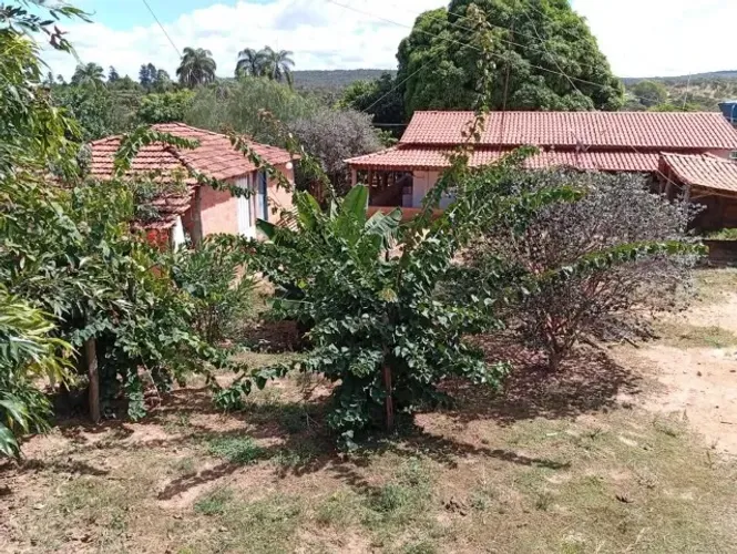  OPORTUNIDADE - FAZENDINHA À VENDA 