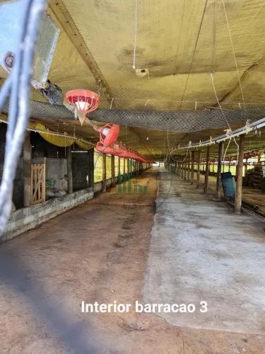 Sítio em Área Rural de Itapetininga - Itapetininga