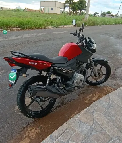 Factor 150 2019