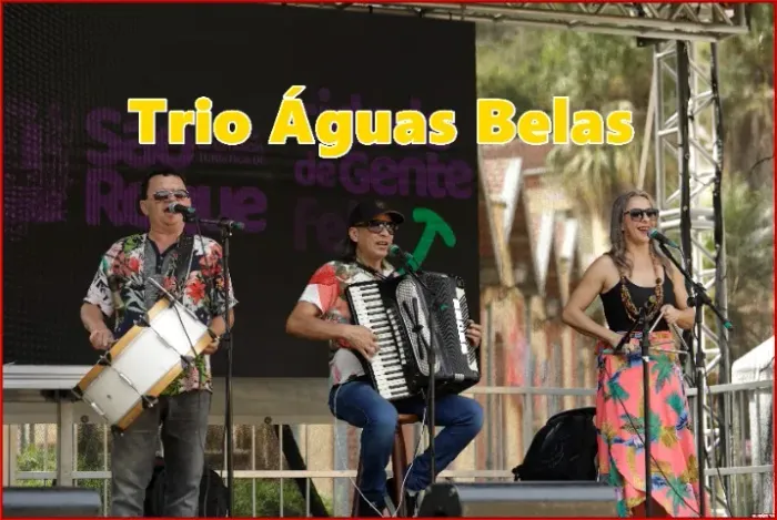 sanfoneiro,trio de forró  pe de serra,festa junina 
