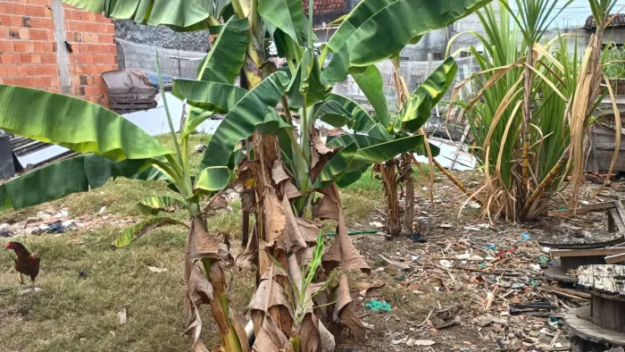 Lote à venda, TABULEIRO DO MARTINS, Maceió, AL
