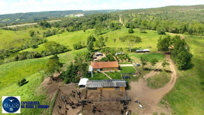 Chácara à Venda em Abadiânia GO  7 Alqueires Formados