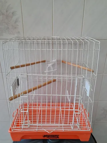 Gaiola para Calopsita