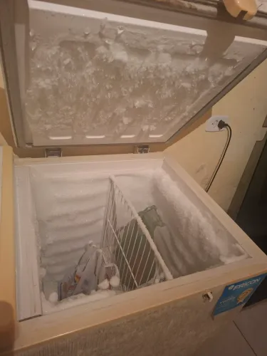 Freezer horizontal