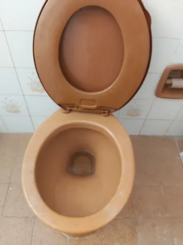 Vaso sanitário e pia com coluna.