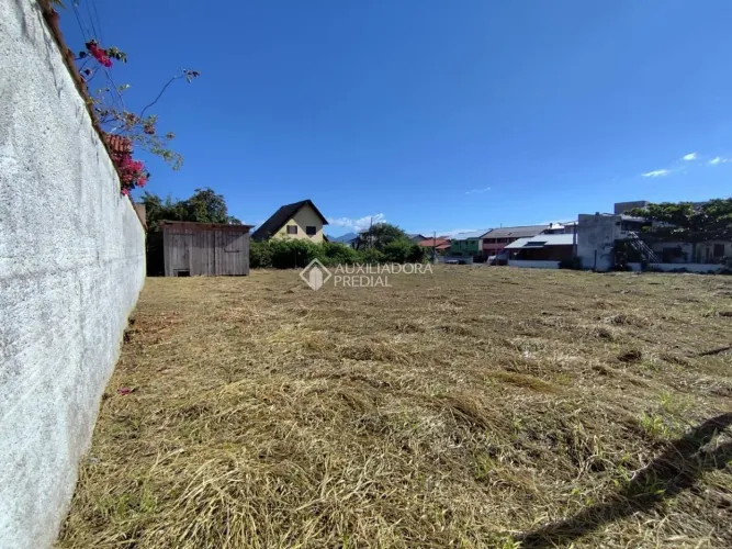 Lotes na Pinheira para construtores a 150 metros do mar.