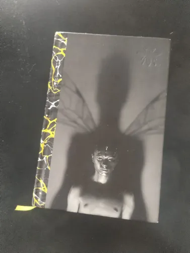Livro Fábrica de Vespas, de Banks, Iain. Editora Darkside Books, capa dura (2016)