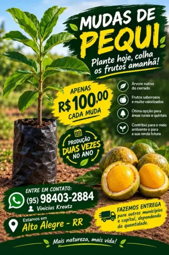 Pé de pequi