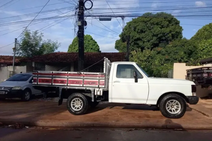 Ford F-1000 S. S. Diesel / S.s. Diesel Turbo 1994