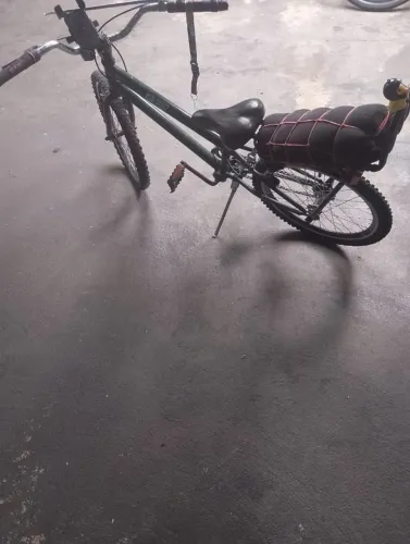 Bicicleta (montadinha)