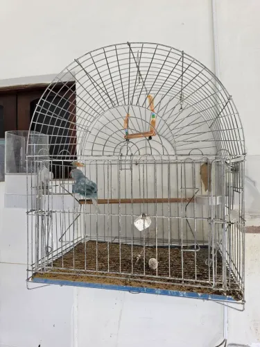 Gaiola Grande