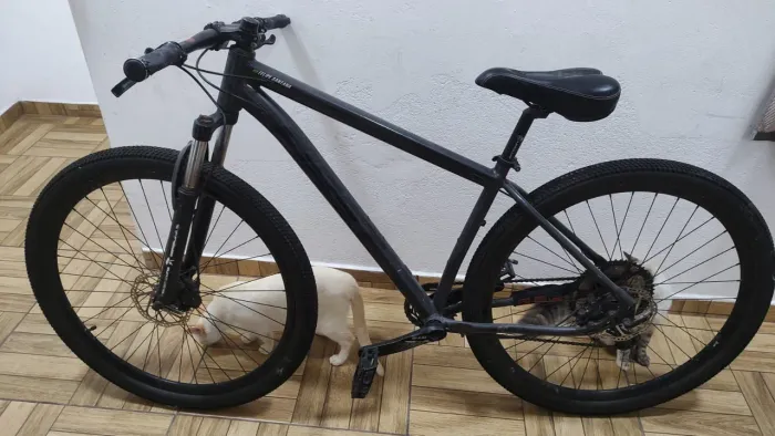 Mtb First aro 29 cor preta 1x12