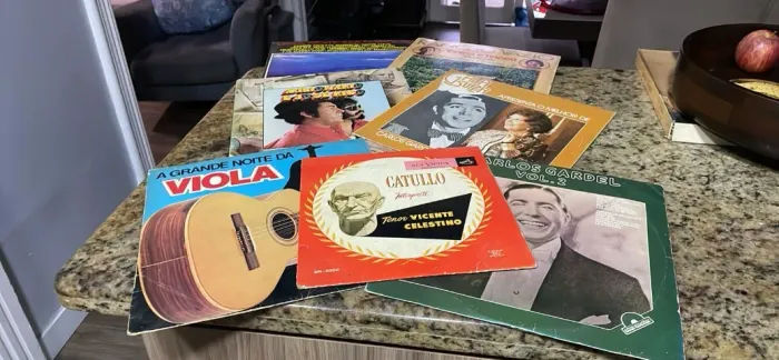 Lote de Discos de Vinil Clássicos (Sertanejo, Tango e MPB)