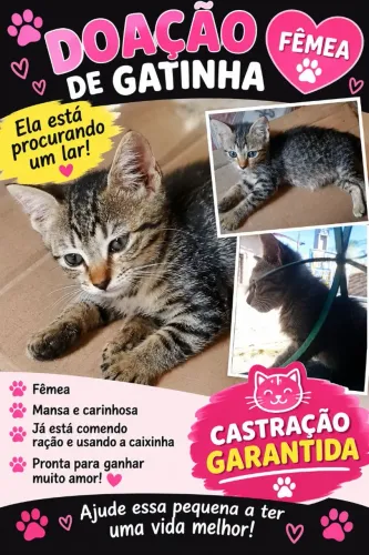Doação