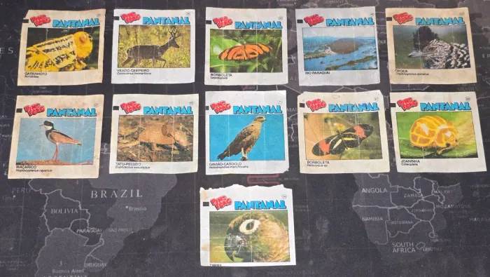 Lote c/ 11 figurinhas Ping Pong Pantanal (1990) + 10 Amazônia (1991)