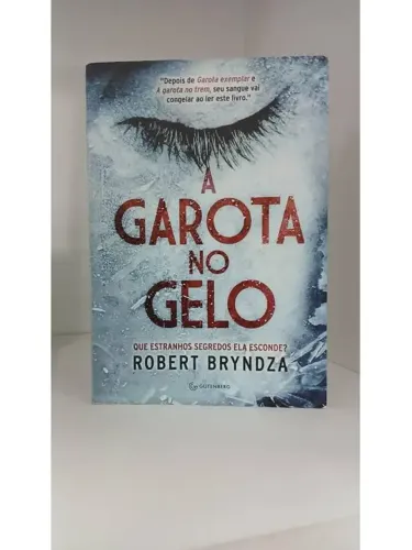 A Garota no Gelo (detetive Erika Foster Livro 1)