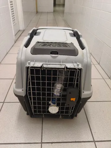 Vendo 2 Caixas de Transporte Tamanho M..de Cães marca Skudo