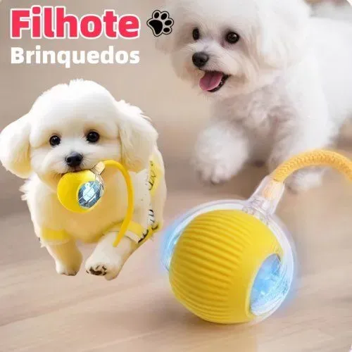 Brinquedo interativo para filhotes 