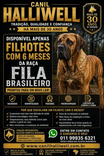 Fila Brasileiro Legítimos 