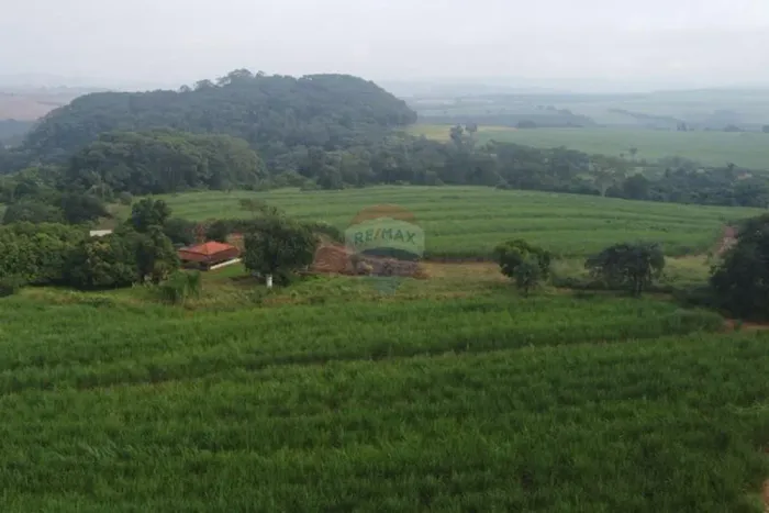 Sítio em Cajuru SP | 18 hectares | Renda mensal garantida