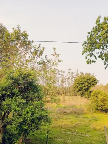 Troco Sítio em Anitápolis (3hectares) por casa na região da Pinheira