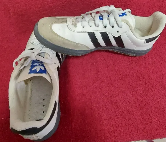 Tenis