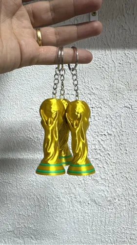 TAÇA DA COPA