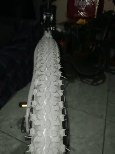 BICICLETA 29
