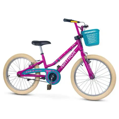 Bicicleta aro 20