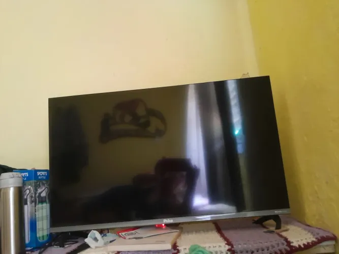 Televisão