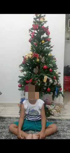 Árvore de Natal