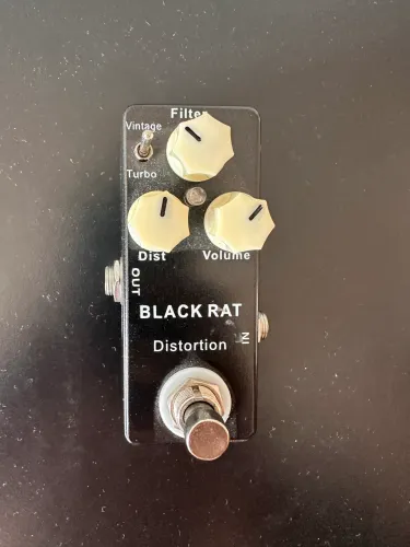 Black Rat Mosky