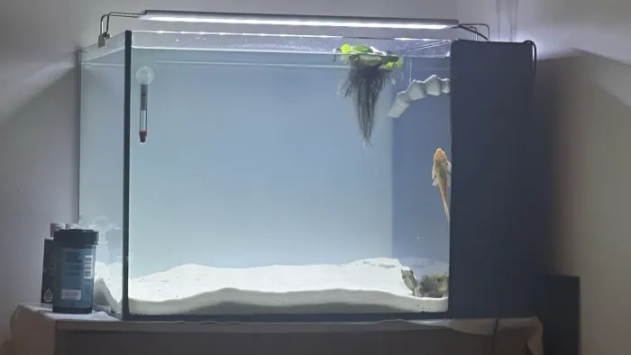 Aquário 120 litros completo 