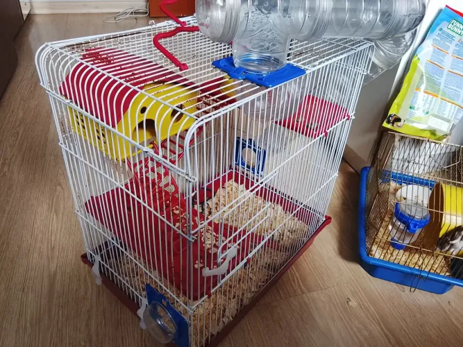 Vendo gaiola para hamster 2 andares