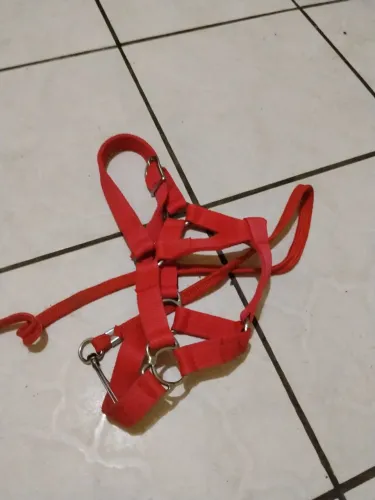 Cabeçada pra cavalo