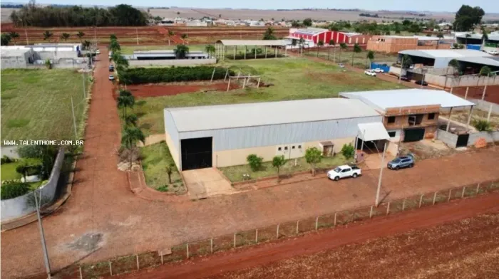 Comercial para Venda em Sertanópolis, Parque Industrial