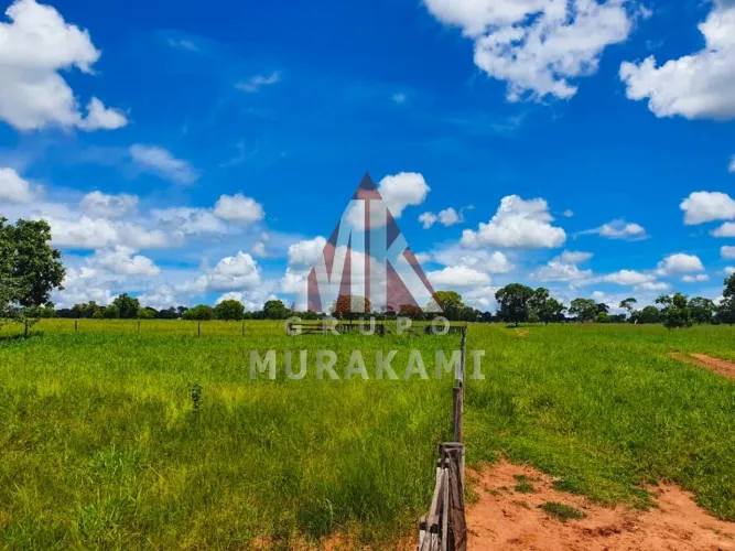 FAZENDA - RIO NEGRO - MS