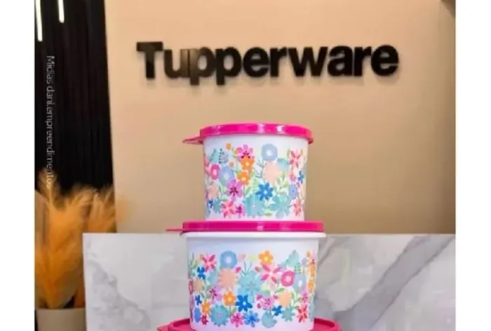 Kit Tupperware 2 peças