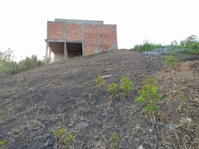 Lote no Belmonte