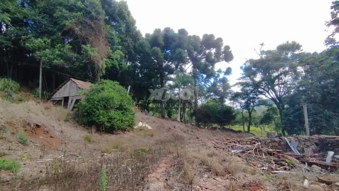 SÍTIO EM NOVA PETRÓPOLIS